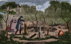 البستنة: الطرق الرئيسية لزراعة النباتات. نقش 1860. بواسطة فنان غير معروف