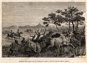السكان الأصليين الباريس (سكان السودان) أسلحة الأقواس والسهام ، يفرون مع قطعانهم التي صادرها السير بيكر ، لمنعهم من مهاجمة القبائل الأخرى في المنطقة ، من أجل نهبهم واستعبادهم ، نقش يوضح عملية مسلحة بواسطة فنان غير معروف