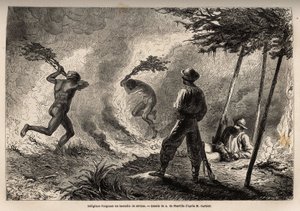 أشعل الكاناك الأصليون نار السافانا ، التي أشعلوها هم أنفسهم لاصطياد البعوض ، أمام أعين الراوي ورفيقه المسافر. نقش لتوضيح الرحلة إلى كاليدونيا الجديدة من 1863 إلى 1866 ، بواسطة جول غارنييه ، مهندس مدني في بواسطة فنان غير معروف