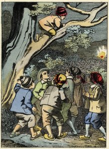 يتسلق Poucet الصغير على شجرة ويبحث عن طريقه. إنه يلتقط الضوء في الغابة. رسم توضيحي لحكاية تشارلز بيرولت "" Le Pepetit Poucet " بواسطة فنان غير معروف