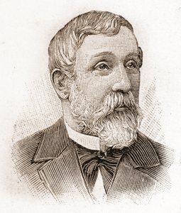 أعضاء الأكاديمية الفرنسية في عام 1895: صورة ألفريد ميزيريس (1826-1915) ، مؤرخ الأدب والسياسي والكاتب الفرنسي. بواسطة فنان غير معروف