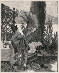 كتب نابليون بونابرت (1769-1821) كلمة "باتاغليا" على جذع شجرة غار في جزيرة إيزولا بيلا على بحيرة ماجوري (لاغو ماجوري) ، قبل ثلاثة أيام من معركة مارينغو في عام 1800. نقش من عام 1885 في "" توضح Les Arts et metiers " بواسطة فنان غير معروف