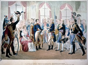 أعلن نابليون إمبراطورًا في عام 1804. بواسطة فنان غير معروف