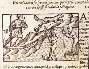 صيادون نرويجيون يتحركون عبر الزلاجات. نقش بواسطة Olaus Magnus (1490 - 1557) ، ديني وجغرافي سويدي ، "Historia de Gentis Septentrionalibus" ، البندقية بواسطة فنان غير معروف