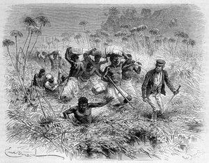 مرور Chisera بواسطة ليفنجستون وحماله - "" رحلة ليفينجستون الأخيرة 1866-1873 "" في "" حول العالم "، 2nd sem. 1875 بواسطة فنان غير معروف