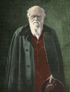 صورة تشارلز داروين (1809-1882) بواسطة فنان غير معروف