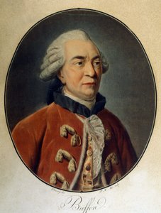صورة لجورج لويس لوكلير ، كونت بوفون (1707 - 1788) ، عالم الطبيعة والكاتب الفرنسي. بواسطة فنان غير معروف
