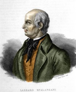 صورة لازارو سبالانزاني (أو سبالانزاني) ، عالم أحياء إيطالي (1729 - 1799) بواسطة فنان غير معروف