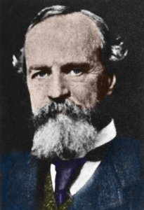 صورة لوليام جيمس (1842-1910) ، الفيلسوف البراغماتي الأمريكي. بواسطة فنان غير معروف
