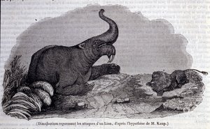 عصور ما قبل التاريخ: تمثيل Dinotherium ، نوع من pachyderm ، صد هجوم الأسد. نقش القرن التاسع عشر بواسطة فنان غير معروف