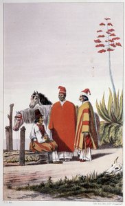 الناس من القطاع الخاص والريف ، بوينس آيرس - في "" الطواف السويدي الأول "بقلم Skogman Carl Johan Alfred ، محرر. ستوكهلوم ، أدولف بونييه بواسطة فنان غير معروف