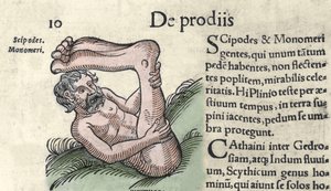 تمثيل وحش Sciapod نقش من "كتاب Prodigiorum ac ostentorum Chronicon Basileae" بقلم ولفارت (كونراد ليكوستين) 1557 بواسطة فنان غير معروف