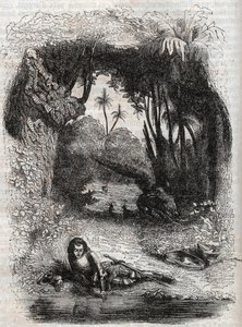 روجيرو في جزيرة ألسينا - 1851 نقش من قصيدة أورلاندو فوريوسو (1516) لودوفيكو أريوستو - طبعة مترجمة من الإيطالية بواسطة كونت تريسان ونشرها غوستاف هارفارد 1851 بواسطة فنان غير معروف