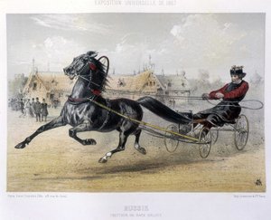 روسيا: أورلوف تولد تروتر - في "القنطور" 1867 بواسطة فنان غير معروف