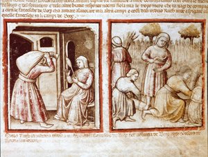 روث ونويمي (نعومي ، نويمي) يعملان في حقول بواز (بوز) مصغرة من مجلد 212 (أو كود بادوفانو أو الكتاب المقدس لبادوا) 1390-1400 روفيغو ، أكاديميا دي كونكوردي بواسطة فنان غير معروف