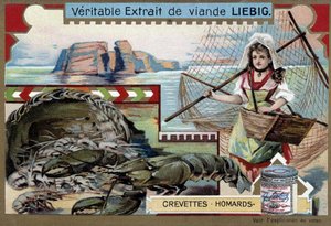 جمبري وسرطان البحر ، مع امرأة شابة تعمل في الصيد ، تحمل سلتها وشبكة كبيرة - Liebig chromolithography بواسطة فنان غير معروف