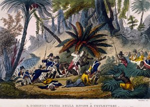 Taken de la Ravine at Reuvres في 23/02/1802. رحلة Leclerc الاستكشافية ، التي تطوق قوات فرانسوا دومينيك توسان ، المعروفة باسم "توسان لوفرتور" (توسان لوفرتور بواسطة فنان غير معروف