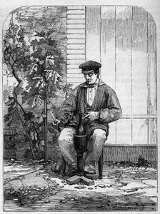 تعبئة نبيذ الشمبانيا في زجاجات. نقش من عام 1864. بواسطة فنان غير معروف