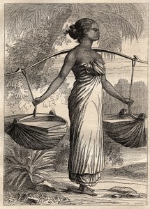 الرحلة الاستكشافية حول العالم (1790-1792) للكابتن إتيان مارشان (1755-1793): ناقلة مياه في تيمور (تيمور الشرقية ، إندونيسيا) - رسم توضيحي مأخوذ من "البحارة العظماء في القرن الثامن عشر" بواسطة فنان غير معروف