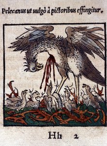 أسطورة البجع: يعطي دمه وأمعائه لإطعام صغاره. من Historiae animalium بواسطة كونراد جيسنر ، تيغوري بواسطة فنان غير معروف