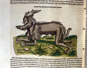 The Manticore من تاريخ الحيوانات بقلم كونراد جيسنر ، زيورخ 1560. الموقع Nazionale Braidense. ميلان بواسطة فنان غير معروف