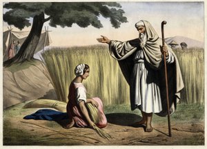 لقاء راعوث وبوعز (بوز) ، أجداد داود ملك إسرائيل (1000-972 قبل الميلاد). نقش مجهول من منتصف القرن التاسع عشر. بواسطة فنان غير معروف