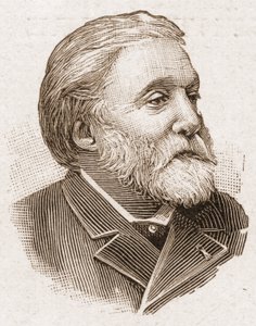 أعضاء أكاديمية Francaise في عام 1895: صورة إتيان تشارلز هنري ، فيسكونت دي بورنير (1825-1901) ، كاتب مسرحي وشاعر فرنسي. بواسطة فنان غير معروف