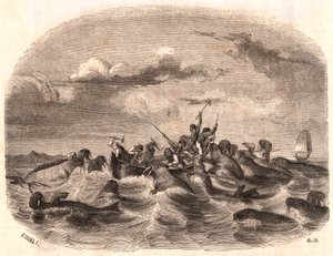 منظر لمجموعة من البحارة الإنجليز يطاردون قطيع من الفظ عام 1818 قبالة ساحل سبيتسبيرجين بواسطة غير معروف