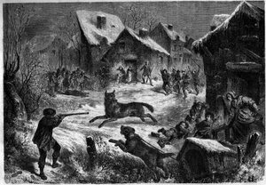صيد الذئب في قرية سالييرز ، بوش دو رون (13) ، 31 ديسمبر 1860. نقش في "" Le Monde Illustré "" رقم 196 بتاريخ 12 يناير 1861. بواسطة فنان غير معروف