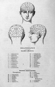 رسم توضيحي من كتاب تشارلز روفين لعام 1873 Organographie La Tête humaine ، دراسات مصورة لعلم فراسة الدماغ وعلم وظائف الأعضاء المطبقة على الشخصيات الشهيرة باريس 1873 بواسطة فنان غير معروف