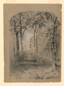 رسم، دراسة غابات الغابات، 1865-70 بواسطة فنان غير معروف