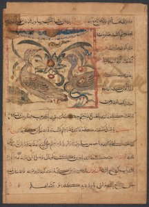 (من منافع الحيوان لأبي سعيد عبيد علاي بن بختيشو) (آية). بواسطة فنان غير معروف