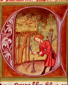 نباتي: بستاني يمارس الزرع. صورة مصغرة مأخوذة من "كتاب روستيكان أو كتاب الربح الريفي والريفي" (Rerum الريفية السلع) من قبل Pietro de Crescenzi (حجر الهلال أو Crescens Stone) (1233-1320) القرن الرابع عشر ، المكتبة الوطنية ، براغ بواسطة فنان غير معروف