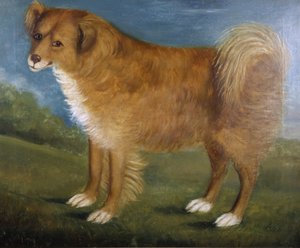 Brown Dog in a Landscape, c.1850 (oil on canvas) بواسطة فنان غير معروف
