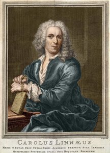 كارل فون ليني عالم الطبيعة والكاتب السويدي (1707-1778) بواسطة فنان غير معروف