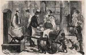 رجل لحوم القطط (رجل لحم القطط) في أحد شوارع منطقة ويستمنستر بلندن ، تاجر لحوم الخيول يمشي للكلاب والقطط - نقش في "" The Illustrous World " بواسطة فنان غير معروف