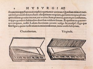 وصف Harpsichord و spinet. صفحة من Musurgia seu praxis musicae بواسطة فنان غير معروف