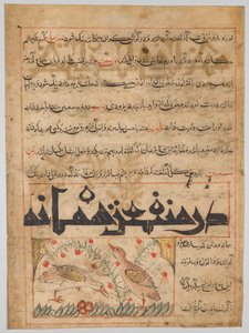 ورقة من منافع الحيوان الفارسية لأبي سعيد عبيد الله بن جبريل بن بختيشو (توفي 1058-1068) (الظهر) بواسطة فنان غير معروف
