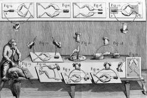 رسم توضيحي لتجارب لويجي جالفاني ، الفيزيائي والطبيب الإيطالي (1737 - 1798) شرح مرور التيار الكهربائي الذي يحرك أرجل الضفدع. بواسطة فنان غير معروف