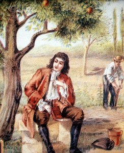 يجد إسحاق نيوتن (1642-1727) ، عالم الرياضيات والفيزياء والفلك الإنجليزي ، نظرية الجاذبية بملاحظة سقوط شجرة تفاح ، وهو رسم توضيحي للقرن التاسع عشر. بواسطة فنان غير معروف