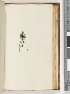 صفحة 143. مصنع غير معروف بواسطة فنان غير معروف