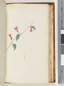 صفحة 167. مصنع غير معروف بواسطة غير معروف
