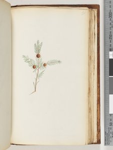 صفحة 191. مصنع مجهول بواسطة غير معروف