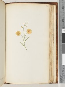 صفحة 197. مصنع مجهول بواسطة غير معروف