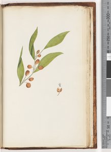 الصفحة 227. مصنع غير معروف بواسطة غير معروف