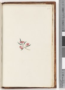 صفحة 255. مصنع غير معروف بواسطة فنان غير معروف