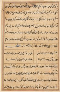 صفحة من حكايات ببغاء (توتي-ناما): صفحة نصية بواسطة فنان غير معروف
