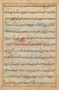 صفحة من حكايات ببغاء (توتي-ناما): صفحة نصية بواسطة فنان غير معروف