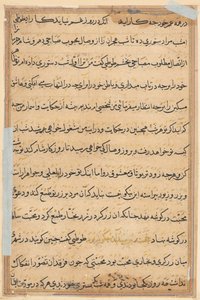 صفحة من حكايات ببغاء (توتي-ناما): صفحة نصية بواسطة فنان غير معروف