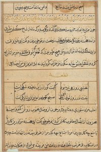 صفحة من حكايات ببغاء (توتي-ناما): صفحة نصية بواسطة فنان غير معروف